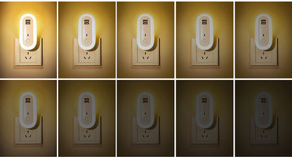 Oval Small Night Lamp With Dual USB Charging Port Remote Control Timing Plug-in Wall