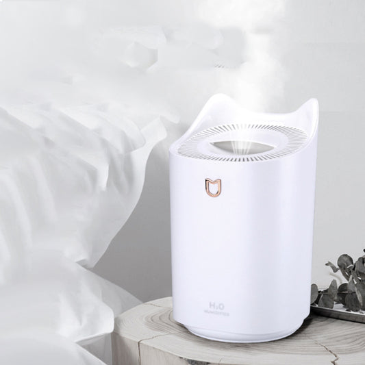 USB large capacity humidifier