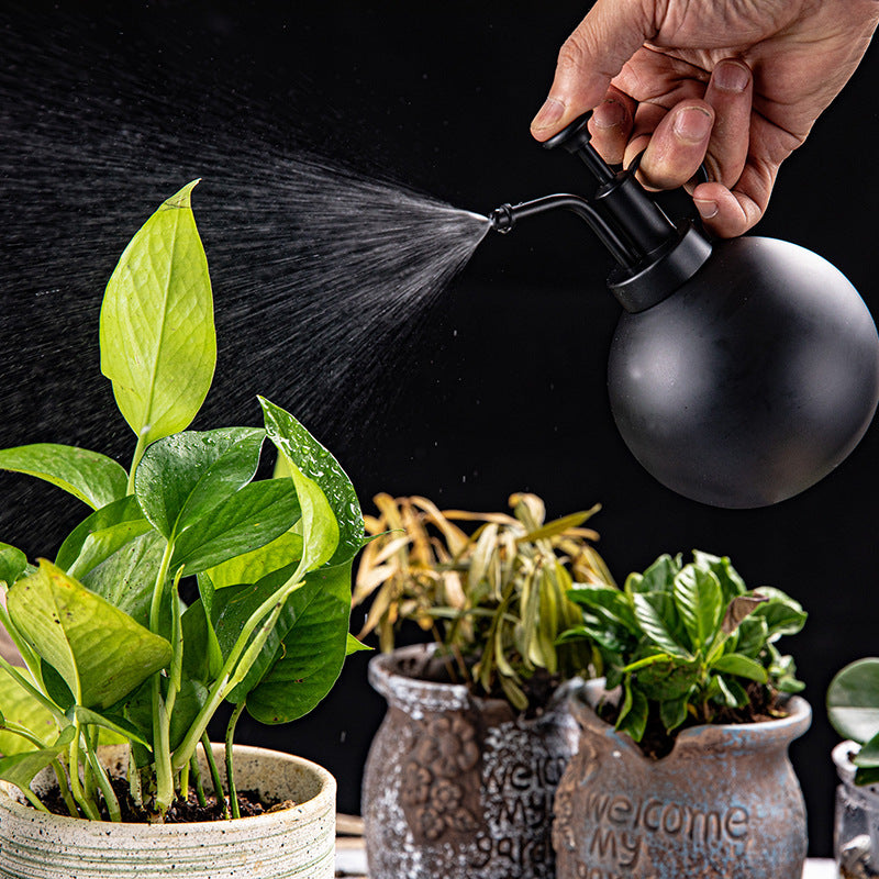 304 Stainless Steel Watering Sprayer Spherical Sprinkling Can 500ML