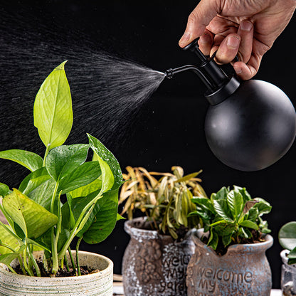 304 Stainless Steel Watering Sprayer Spherical Sprinkling Can 500ML