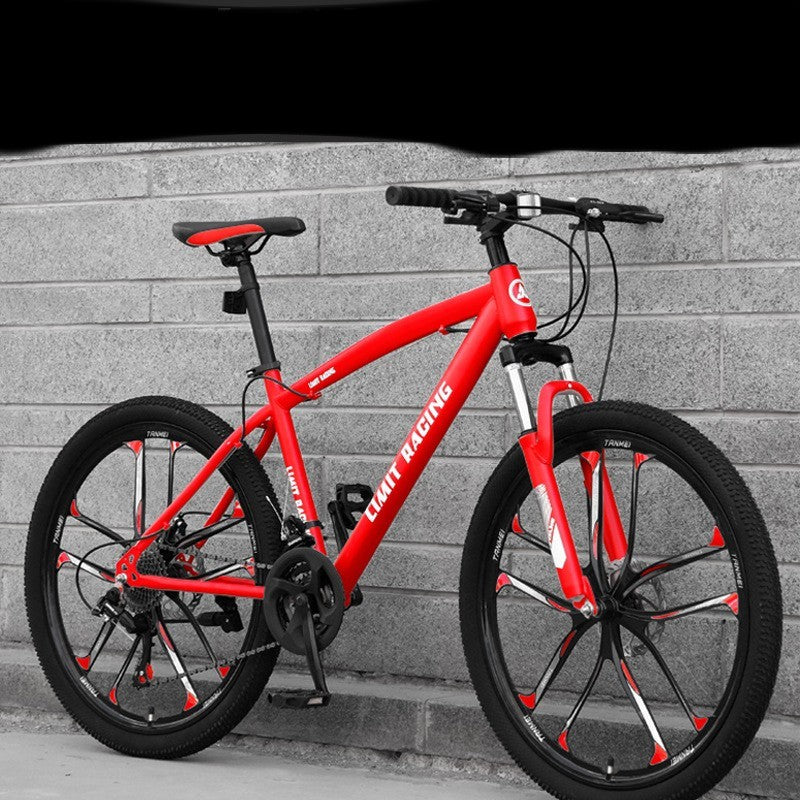 Speed-changing Cross-country Road Racing  Working Students