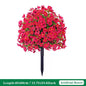 Eucalyptus Violet Floor Outlet Garden Green Plant