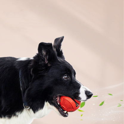 Missing Food Alone Card Food Elastic Solid Ball