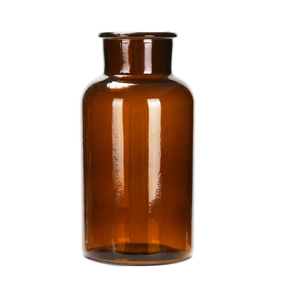 Hydroponic Plant Glass Bottle Living Room Decorations