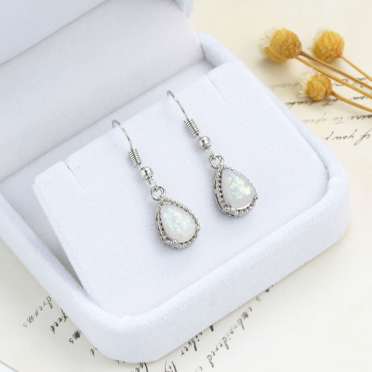 Ladies Fashion Earrings Jewelry High-end gift box