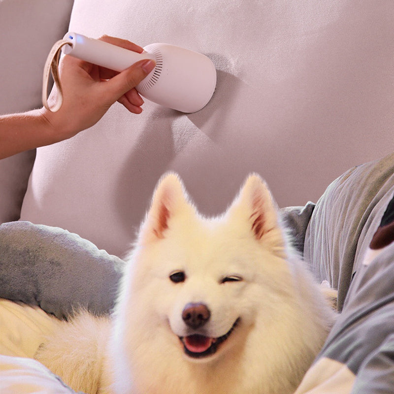 Portable vacuum cleaner