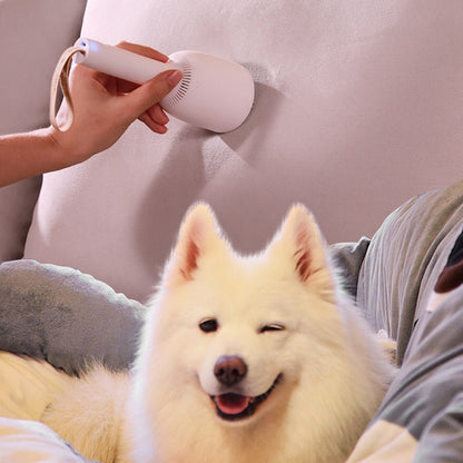 Portable vacuum cleaner