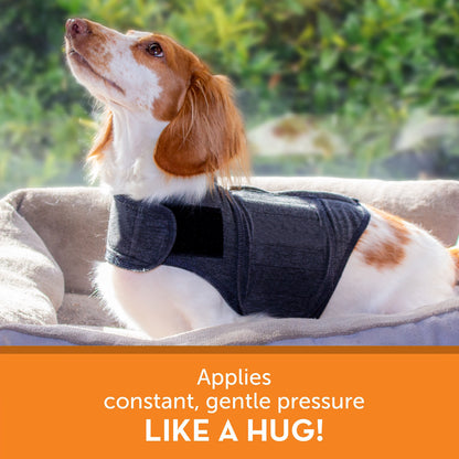 Fashion Dog Clothes Warm Vest