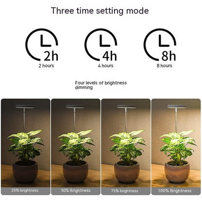 USB Angel Ring Plant Lamp Timing Dimming Height