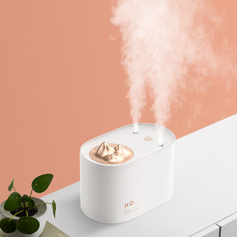 Wireless Mini USB charging sprayer