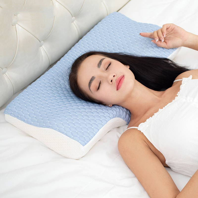 Slow Rebound Tencel Space Memory Foam Neck Pillow Gift Box