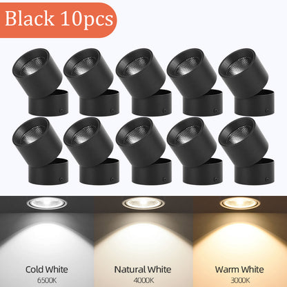 LED Downlight Spotlights Are Open Mounted And Foldable