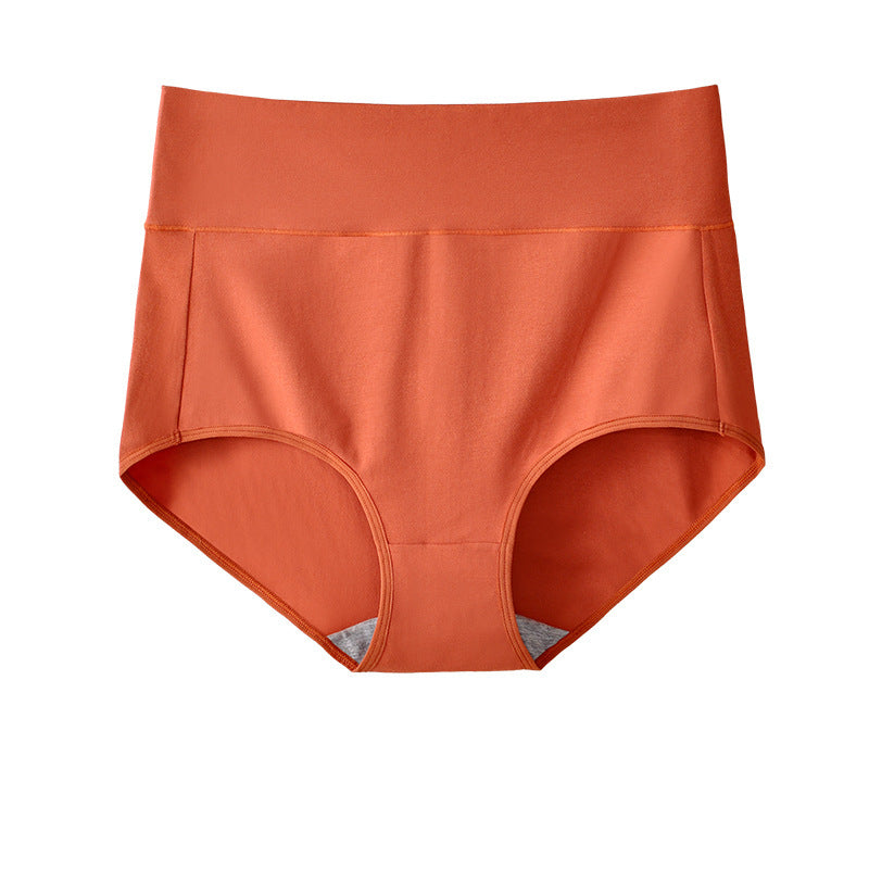 High Waist Briefs Plus Size Fat