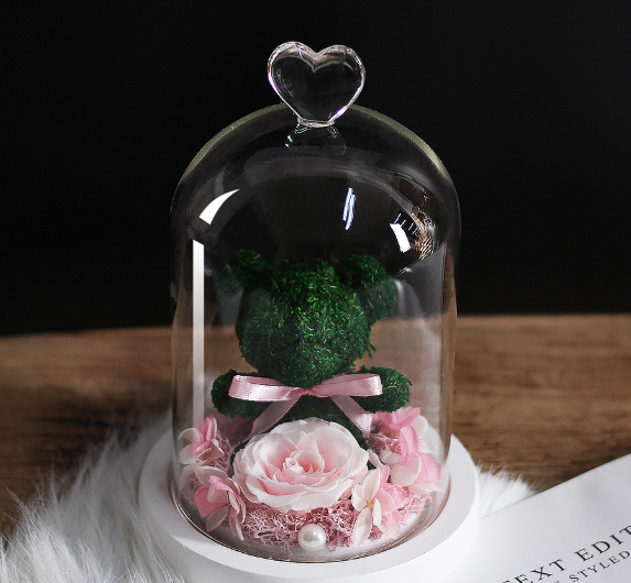 Preserved Flower Bear Glass Cover Gift Box