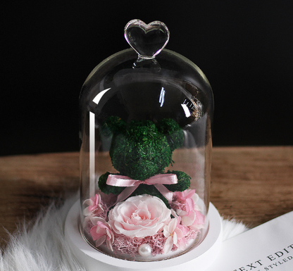 Preserved Flower Bear Glass Cover Gift Box