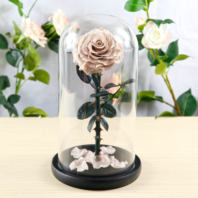 Preserved Flower Rose Finished Glass Cover Gift Box