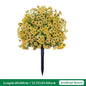Eucalyptus Violet Floor Outlet Garden Green Plant