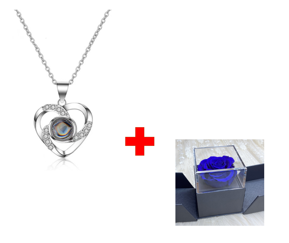 Preserved Flower Rose Flower Necklace Jewelry Box Gift