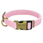Pet products luminous collar at night
