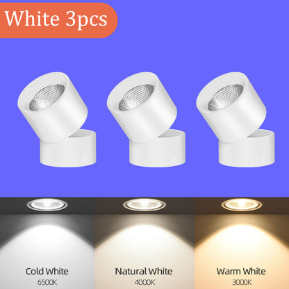 LED Downlight Spotlights Are Open Mounted And Foldable