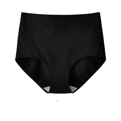 High Waist Briefs Plus Size Fat