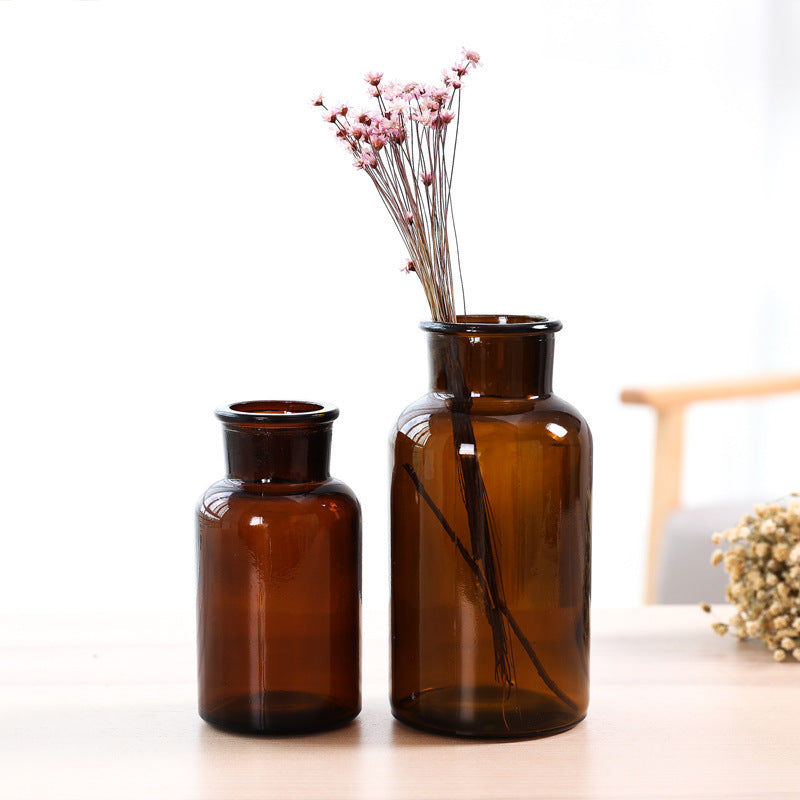 Hydroponic Plant Glass Bottle Living Room Decorations