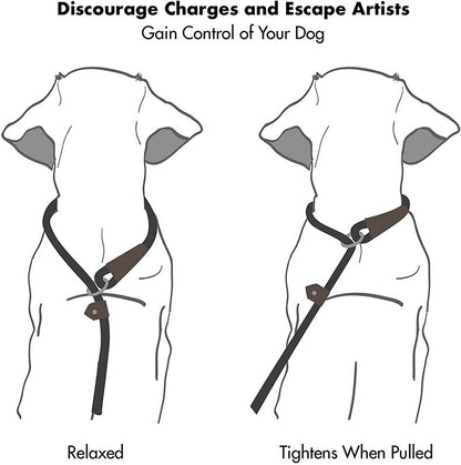 Dog Nylon Tow Rope Pull-resistant P Chain Round Rope Walking Single Dog Leash Dog Chain