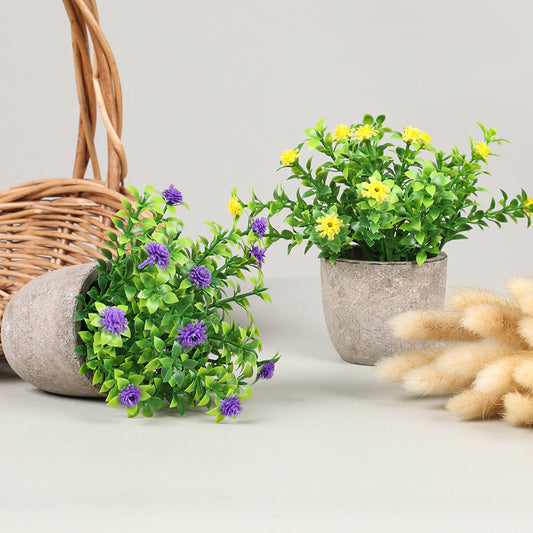 Simulation Starry Mini Pulp Pot Plastic Green Plant