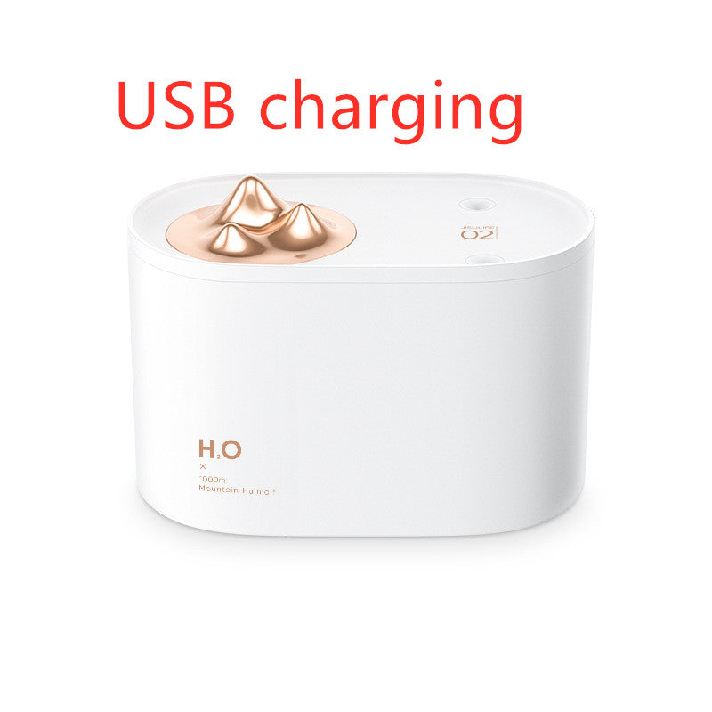 Wireless Mini USB charging sprayer