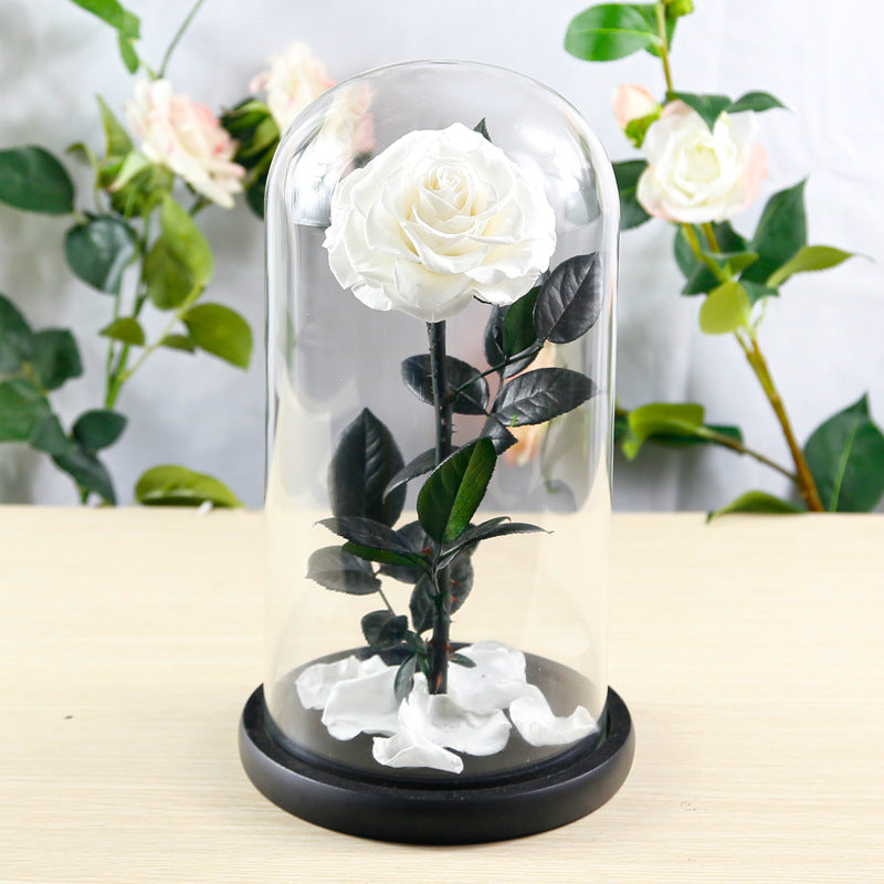Preserved Flower Rose Finished Glass Cover Gift Box