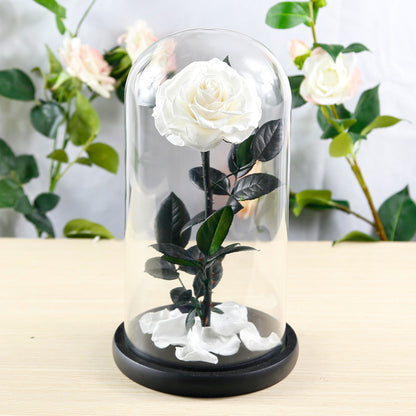 Preserved Flower Rose Finished Glass Cover Gift Box