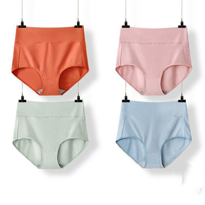 High Waist Briefs Plus Size Fat