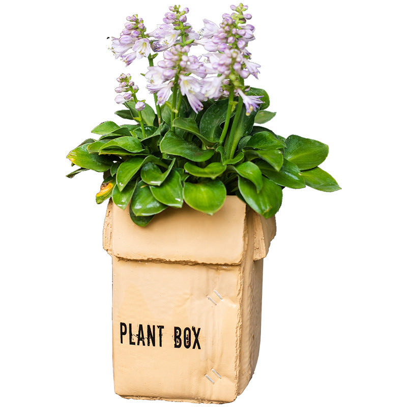 Cement Brown Paper Box Flowerpot Creative Planting Indoor Balcony