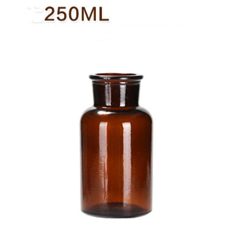 Hydroponic Plant Glass Bottle Living Room Decorations