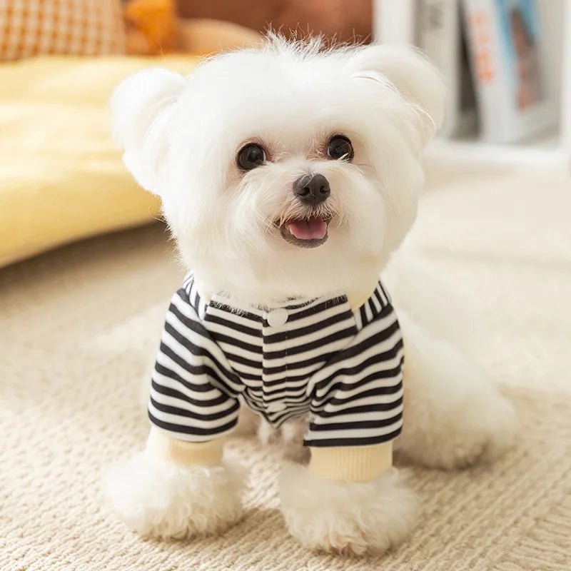 New Autumn And Winter Korean-style Cute Cartoon Dog, Small And Medium-sized Dog Bear Hoodie, Cat Teddy Pet Dog Clothes