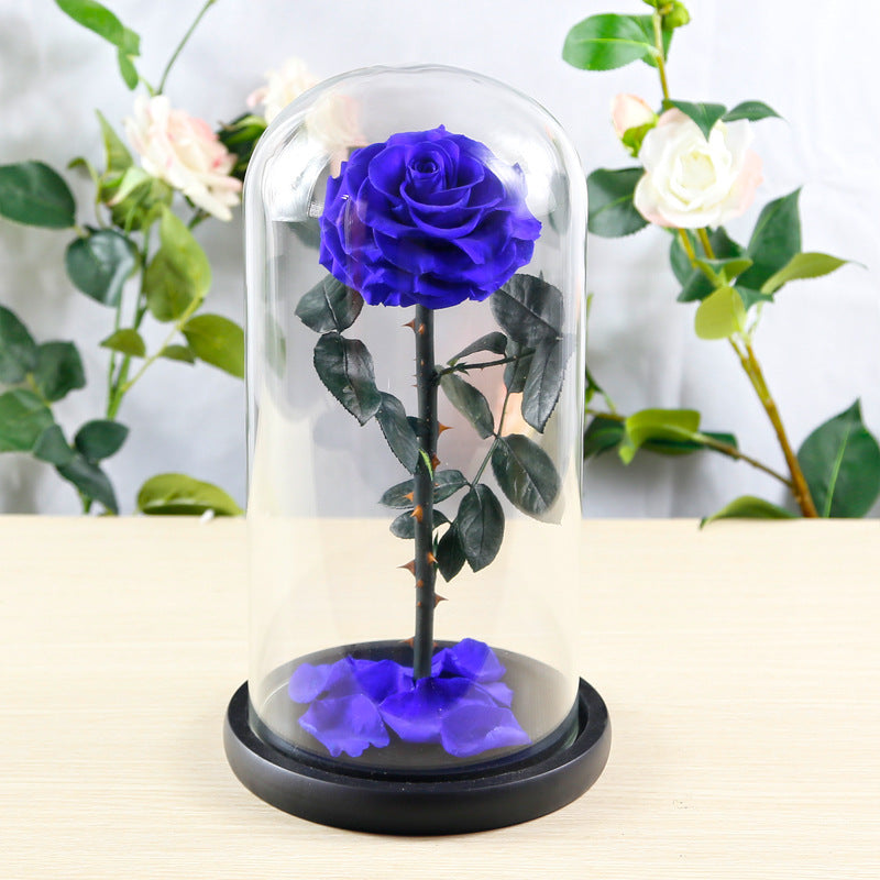 Preserved Flower Rose Finished Glass Cover Gift Box