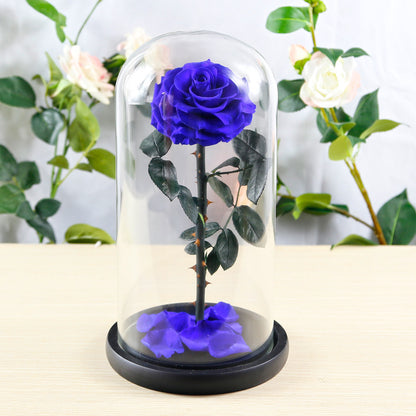 Preserved Flower Rose Finished Glass Cover Gift Box