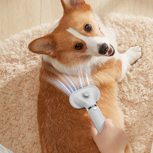 New Portable 2-in-1 Pet Hair Dryer