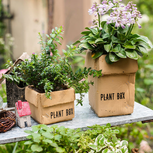 Cement Brown Paper Box Flowerpot Creative Planting Indoor Balcony