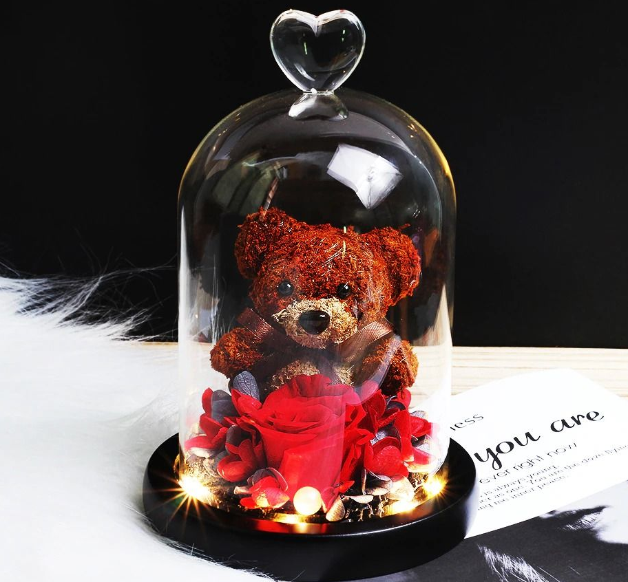 Preserved Flower Bear Glass Cover Gift Box