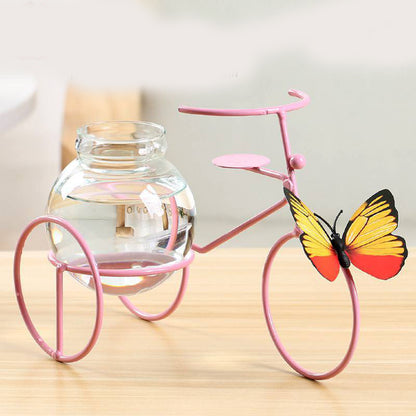 Creative Wrought Iron Table Decoration Hydroponic Vase