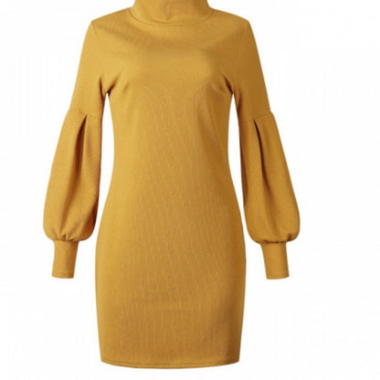 Winter Women's High Collar Knitted Dress