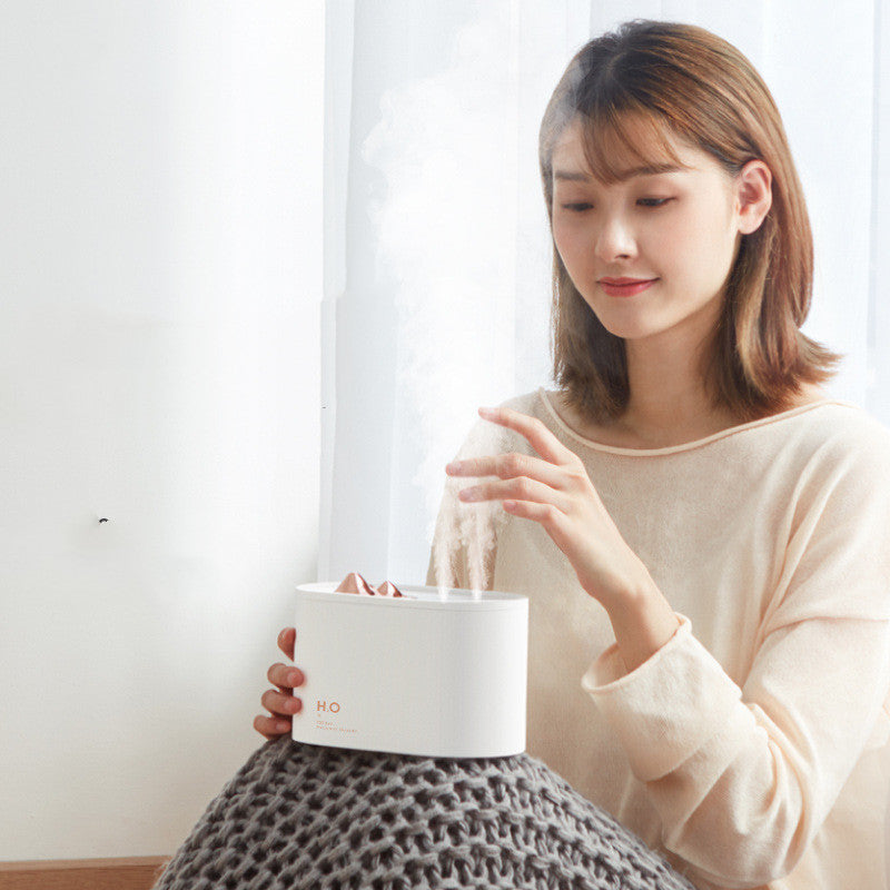 Wireless Mini USB charging sprayer