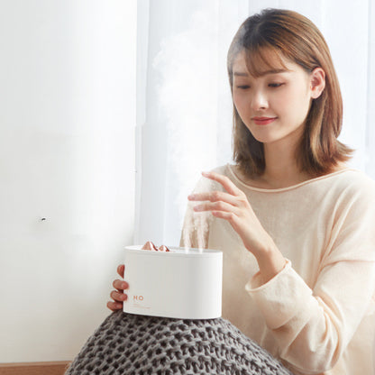 Wireless Mini USB charging sprayer