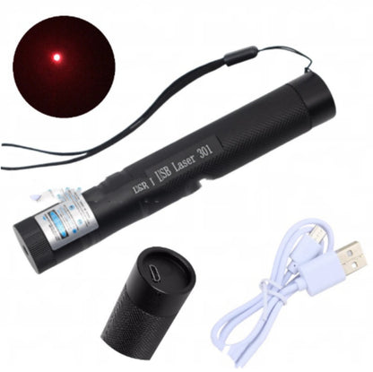 Laser301 Laser Flashlight RedGreenBlue Purple