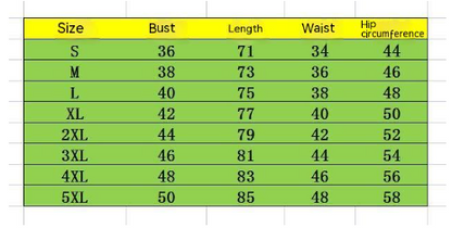 Women's Plus Size Skirt Bikini Printed Swimsuit