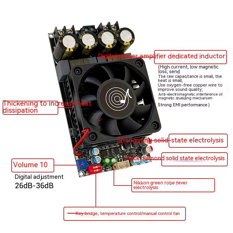 3002 Pure Rear Stage Digital Power Amplifier Board