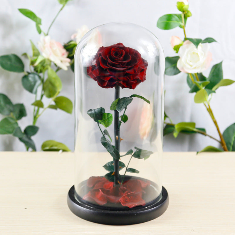 Preserved Flower Rose Finished Glass Cover Gift Box