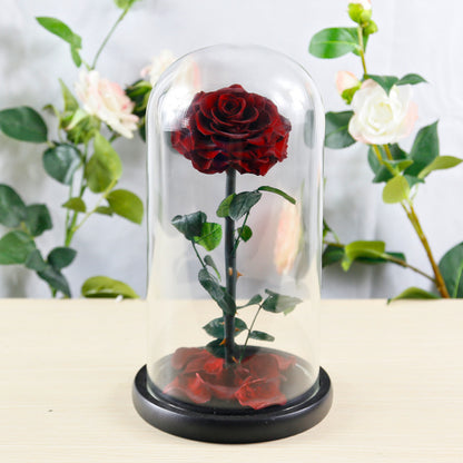 Preserved Flower Rose Finished Glass Cover Gift Box