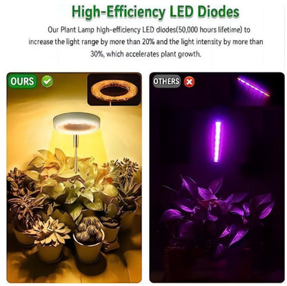 Timing Dimming Succulent Bonsai Plant Grow Light